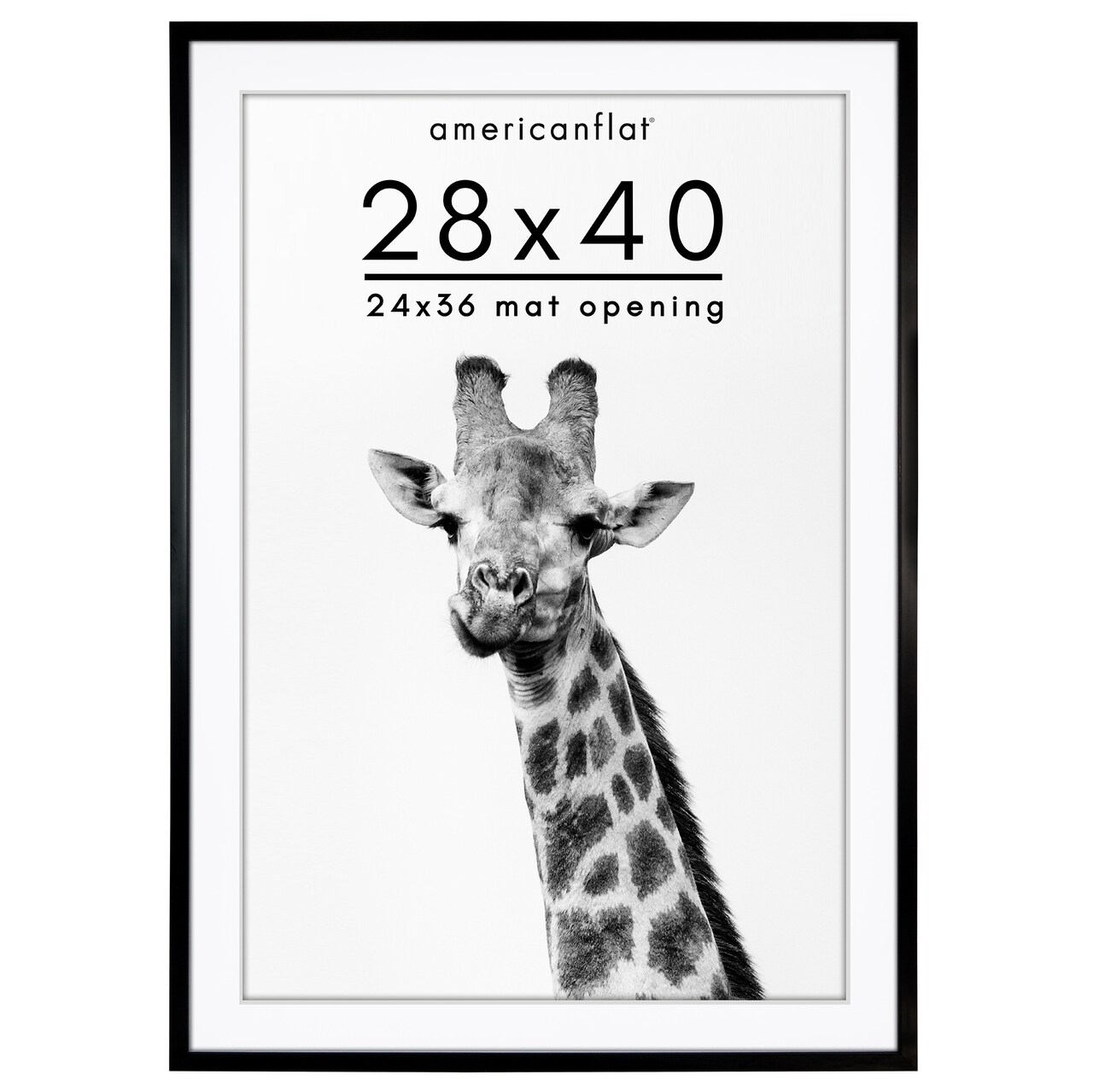 Americanflat Gallery-Style Picture Frame with Mat - Showcase Artwork, Prints, and Photos - Shatter Resistant Glass - Hanging Hardware with Drywall Anchor